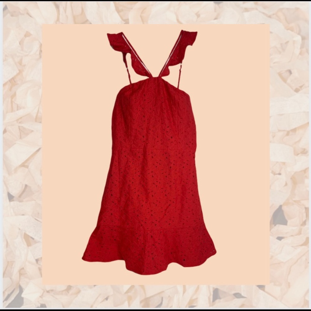 Embroidered Eyelet Mini Dress